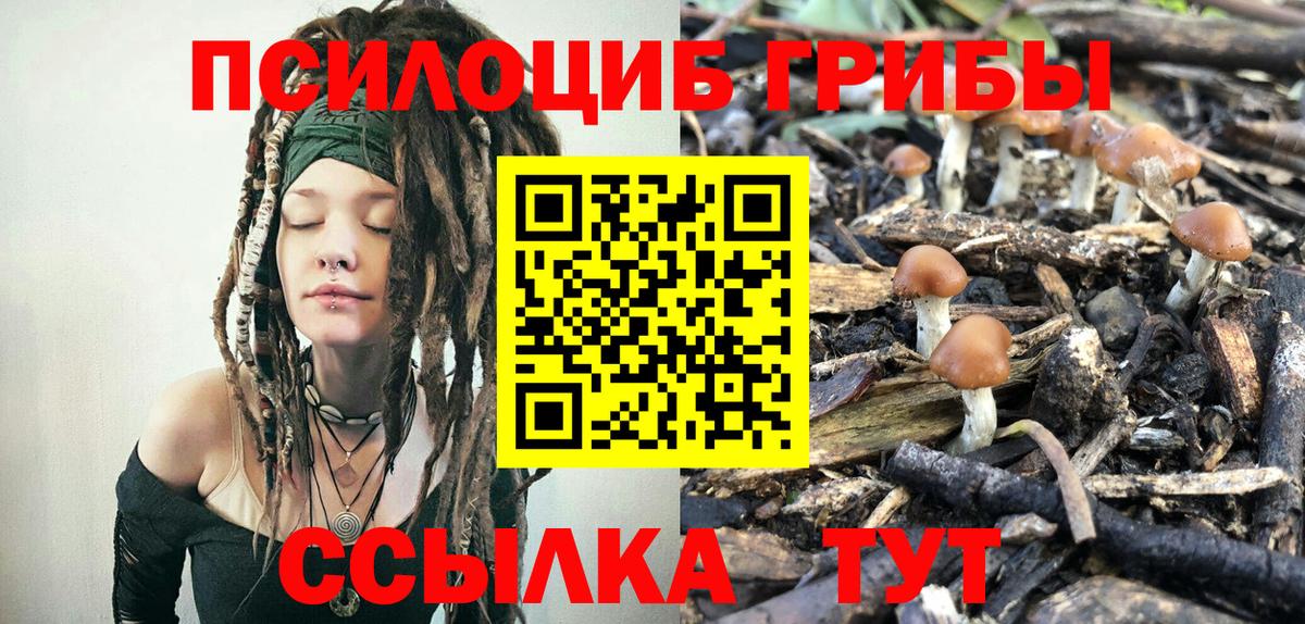 Галлюциногенные грибы ЛСД Белая Калитва