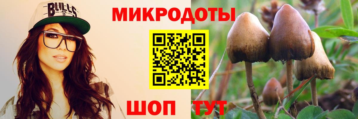 Псилоцибиновые грибы Psilocybe  магазин продажи наркотиков  Белая Калитва  Вход с VPN 